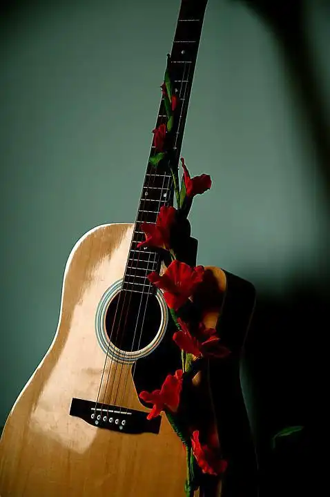 吉他很久没弹,拿出来发现五弦崩了,但是没崩断,换了后第二天拿出来