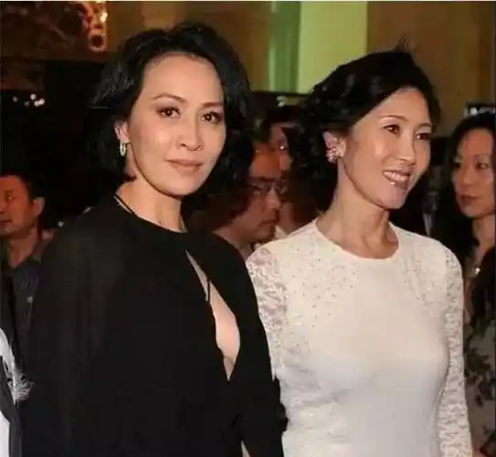 头脑的明星比较有好感,已转型成为"资本操盘手"的赵薇便深得林宁欣赏