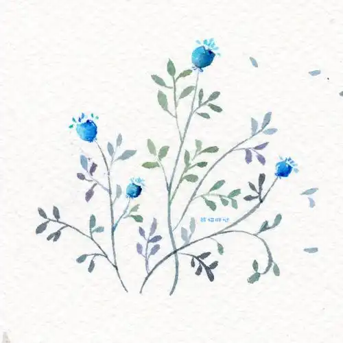 水彩手绘花卉植物水彩插画教程小清新卡通插画的练成手帐手绘水彩步骤